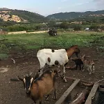 Casa Roberta בית נופש *