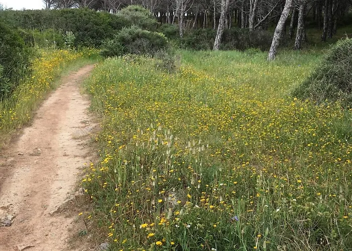 Casa Roberta Дом отдыха