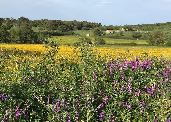 Дом отдыха Casa Roberta *