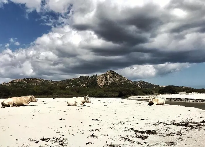 Casa Roberta Дом отдыха *