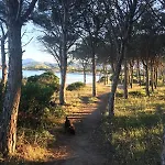 Casa Roberta *