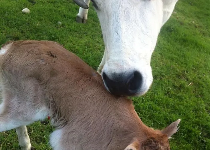 بيت للعطل Casa Roberta