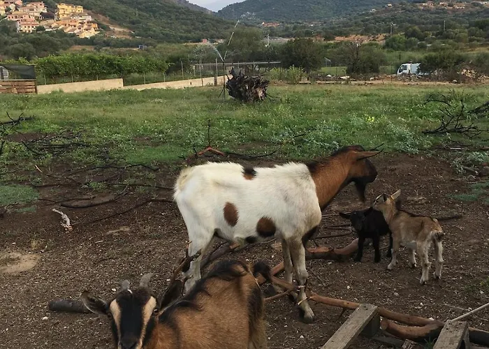 Casa Roberta Nyaraló *