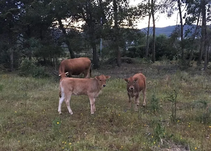 بيت للعطل Casa Roberta *
