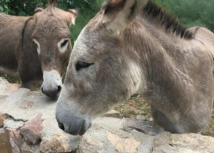 Casa Roberta Nyaraló *