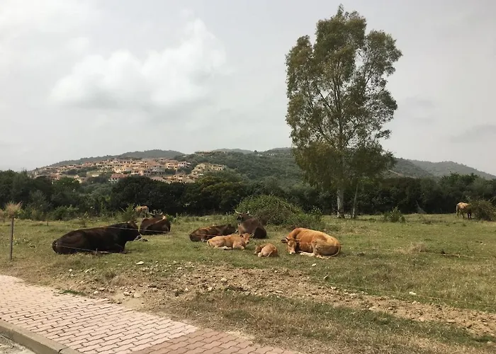 Casa Roberta Nyaraló *